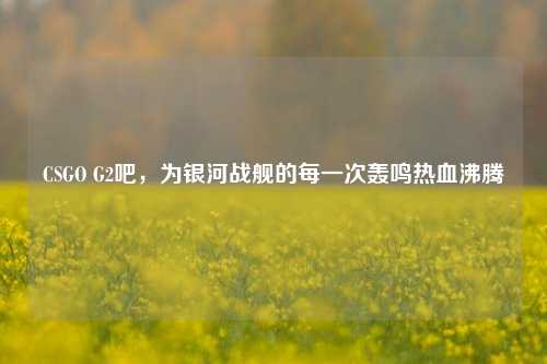 CSGO G2吧，为银河战舰的每一次轰鸣热血沸腾