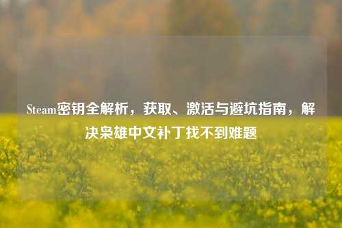 Steam密钥全解析，获取、激活与避坑指南，解决枭雄中文补丁找不到难题
