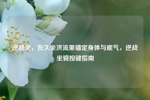 逆战坐,在久坐洪流里锚定身体与底气,逆战坐骑按键指南
