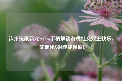 钦州玩家新宠Steam手柄解锁游戏社交双重快乐，一文揭秘X射线成像原理