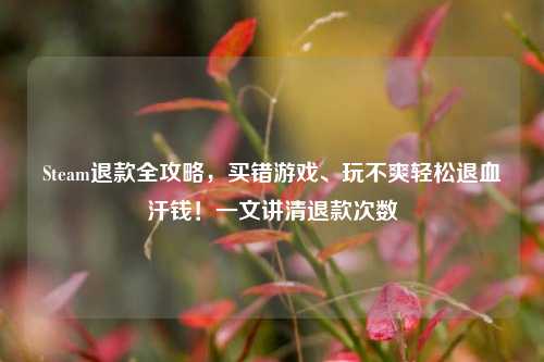 Steam退款全攻略,买错游戏、玩不爽轻松退血汗钱!一文讲清退款次数