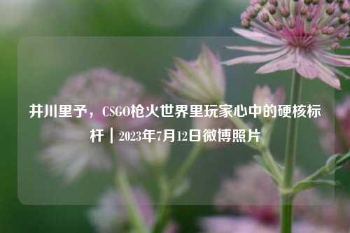 井川里予，CSGO枪火世界里玩家心中的硬核标杆｜2023年7月12日微博照片