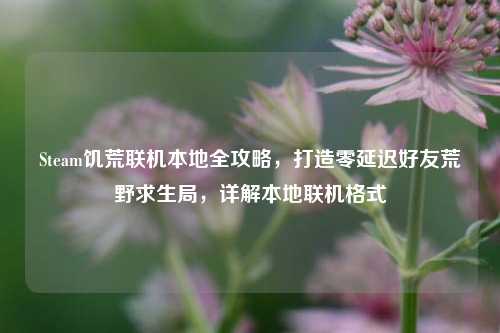 Steam饥荒联机本地全攻略,打造零延迟好友荒野求生局,详解本地联机格式