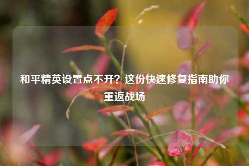 和平精英设置点不开?这份快速修复指南助你重返战场