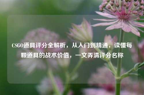 CSGO道具评分全解析，从入门到精通，读懂每颗道具的战术价值，一文弄清评分名称