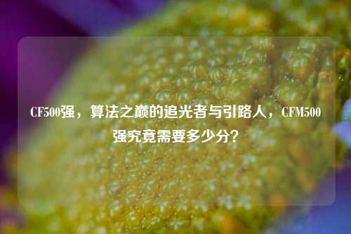 CF500强,算法之巅的追光者与引路人,CFM500强究竟需要多少分?