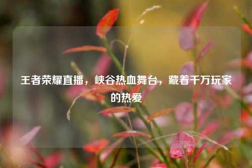王者荣耀直播,峡谷热血舞台,藏着千万玩家的热爱