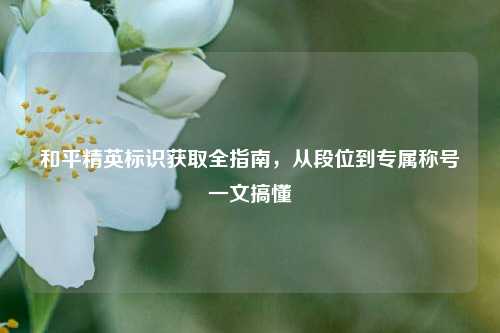 和平精英标识获取全指南，从段位到专属称号一文搞懂