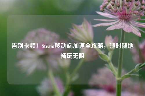 告别卡顿！Steam移动端加速全攻略，随时随地畅玩无阻