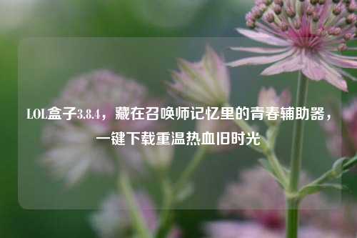 LOL盒子3.8.4,藏在召唤师记忆里的青春辅助器,一键下载重温热血旧时光