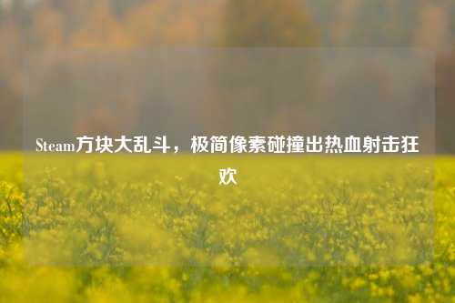 Steam方块大乱斗,极简像素碰撞出热血射击狂欢