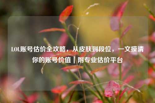 LOL账号估价全攻略,从皮肤到段位,一文摸清你的账号价值|附专业估价平台