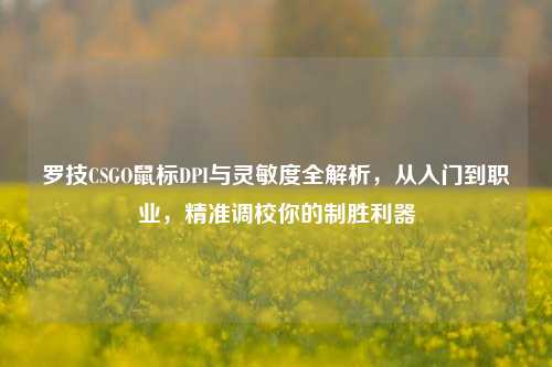 罗技CSGO鼠标DPI与灵敏度全解析，从入门到职业，精准调校你的制胜利器