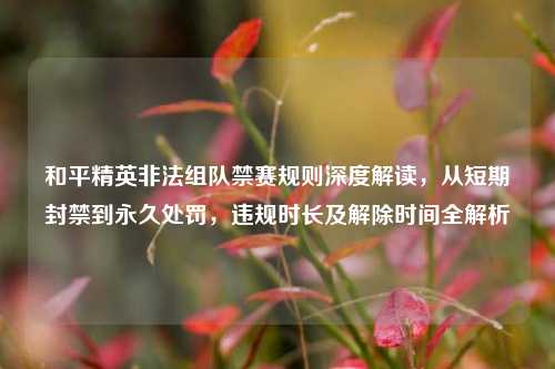 和平精英非法组队禁赛规则深度解读，从短期封禁到永久处罚，违规时长及解除时间全解析
