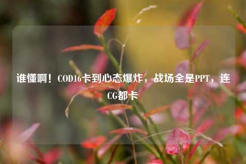 谁懂啊!COD16卡到心态爆炸,战场全是PPT,连CG都卡