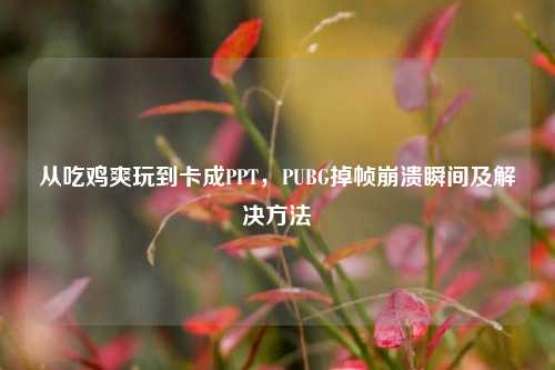 从吃鸡爽玩到卡成PPT,PUBG掉帧崩溃瞬间及解决方法