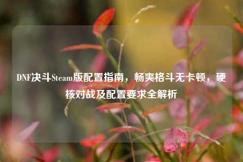 DNF决斗Steam版配置指南,畅爽格斗无卡顿,硬核对战及配置要求全解析