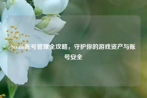 Steam账号管理全攻略，守护你的游戏资产与账号安全