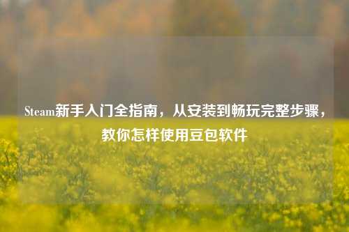 Steam新手入门全指南,从安装到畅玩完整步骤,教你怎样使用豆包软件