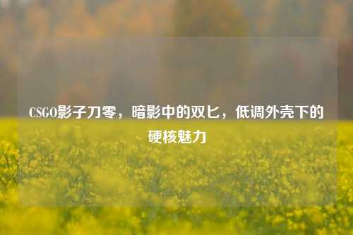 CSGO影子刀零，暗影中的双匕，低调外壳下的硬核魅力