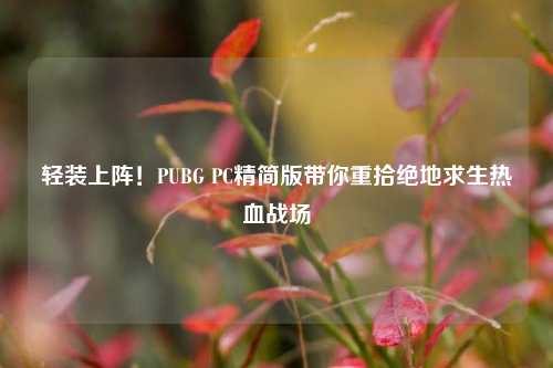 轻装上阵!PUBG PC精简版带你重拾绝地求生热血战场
