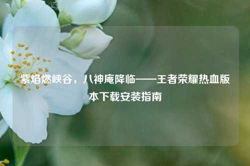 紫焰燃峡谷，八神庵降临——王者荣耀热血版本下载安装指南