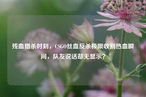 残血猎杀时刻,CSGO丝血反杀极限收割热血瞬间,队友说话却无显示?