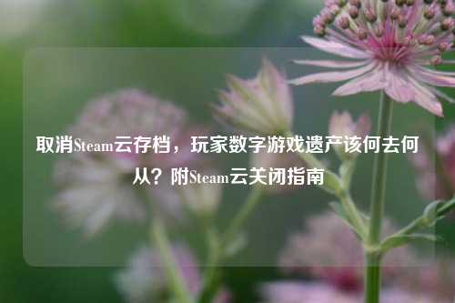取消Steam云存档，玩家数字游戏遗产该何去何从？附Steam云关闭指南