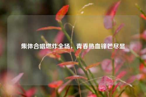集体合唱燃炸全场，青春热血锋芒尽显