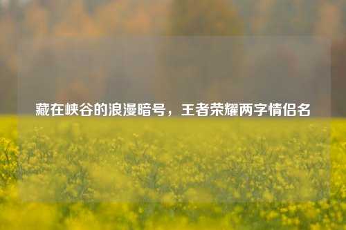 藏在峡谷的浪漫暗号,王者荣耀两字情侣名