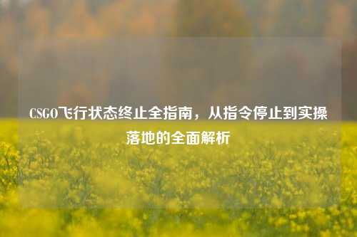 CSGO飞行状态终止全指南,从指令停止到实操落地的全面解析