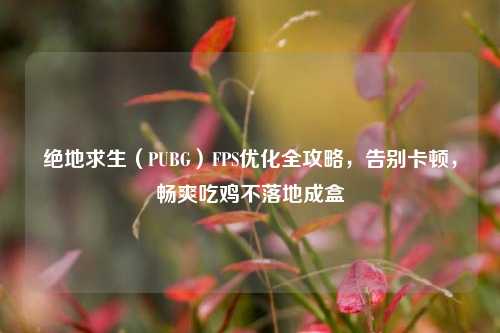 绝地求生(PUBG)FPS优化全攻略,告别卡顿,畅爽吃鸡不落地成盒