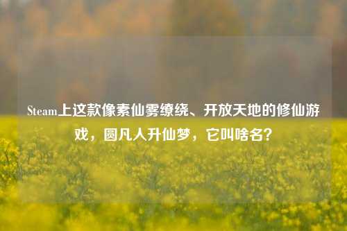 Steam上这款像素仙雾缭绕、开放天地的修仙游戏，圆凡人升仙梦，它叫啥名？