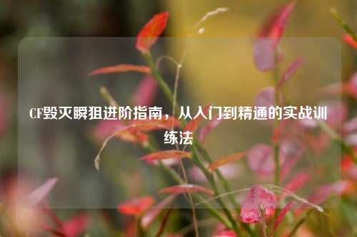 CF毁灭瞬狙进阶指南,从入门到精通的实战训练法