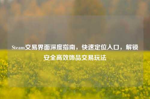 Steam交易界面深度指南,快速定位入口,解锁安全高效饰品交易玩法