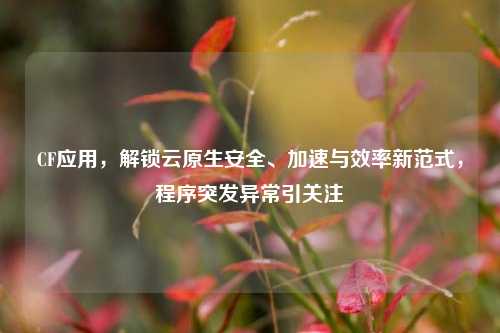 CF应用,解锁云原生安全、加速与效率新范式,程序突发异常引关注