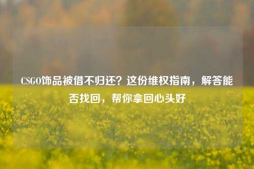 CSGO饰品被借不归还？这份维权指南，解答能否找回，帮你拿回心头好