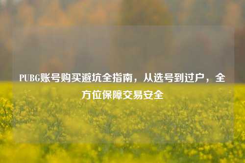PUBG账号购买避坑全指南，从选号到过户，全方位保障交易安全