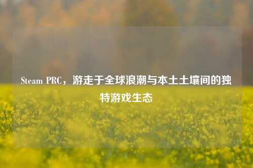 Steam PRC,游走于全球浪潮与本土土壤间的独特游戏生态