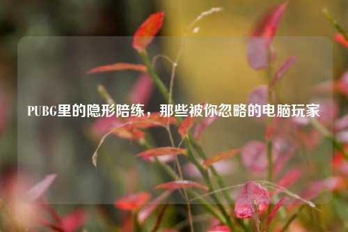 PUBG里的隐形陪练,那些被你忽略的电脑玩家