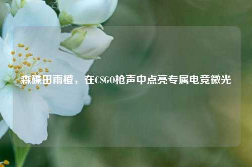 森碟田雨橙，在CSGO枪声中点亮专属电竞微光