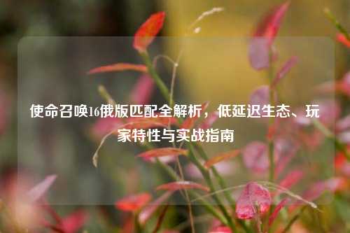 使命召唤16俄版匹配全解析,低延迟生态、玩家特性与实战指南