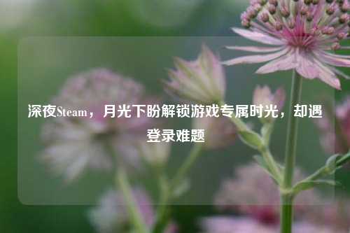 深夜Steam,月光下盼解锁游戏专属时光,却遇登录难题