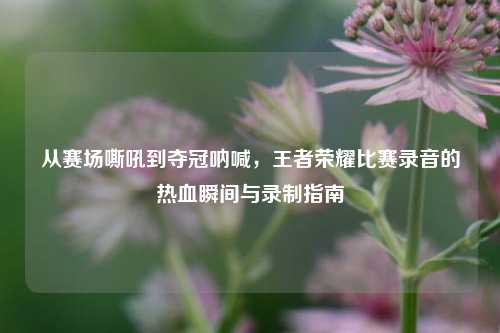 从赛场嘶吼到夺冠呐喊,王者荣耀比赛录音的热血瞬间与录制指南