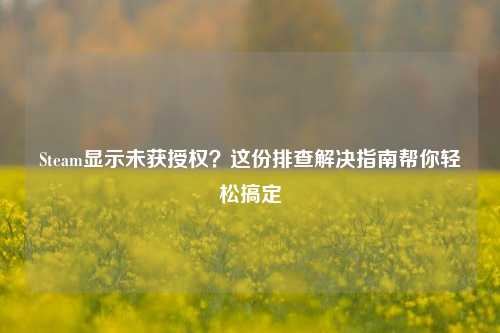 Steam显示未获授权?这份排查解决指南帮你轻松搞定