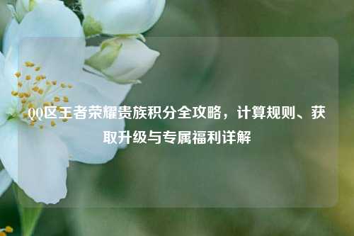 QQ区王者荣耀贵族积分全攻略，计算规则、获取升级与专属福利详解