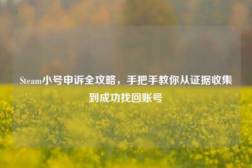 Steam小号申诉全攻略,手把手教你从证据收集到成功找回账号