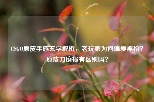 CSGO原皮手感玄学解析,老玩家为何偏爱裸枪?原皮刀磨损有区别吗?
