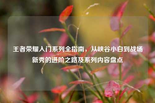 王者荣耀入门系列全指南，从峡谷小白到战场新秀的进阶之路及系列内容盘点
