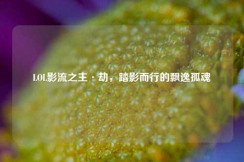 LOL影流之主·劫,踏影而行的飘逸孤魂